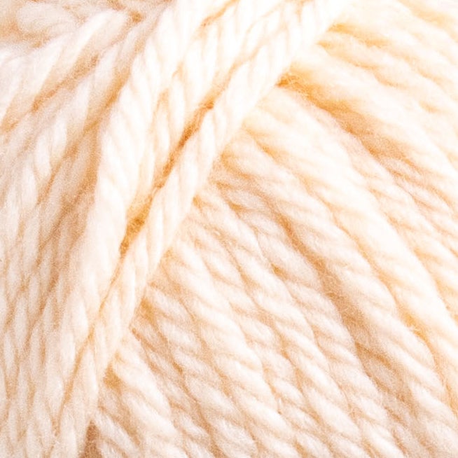 221507 Macadamia Nut